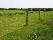 Gardurile electrice pentru animale, o soluție simpla și eficiența