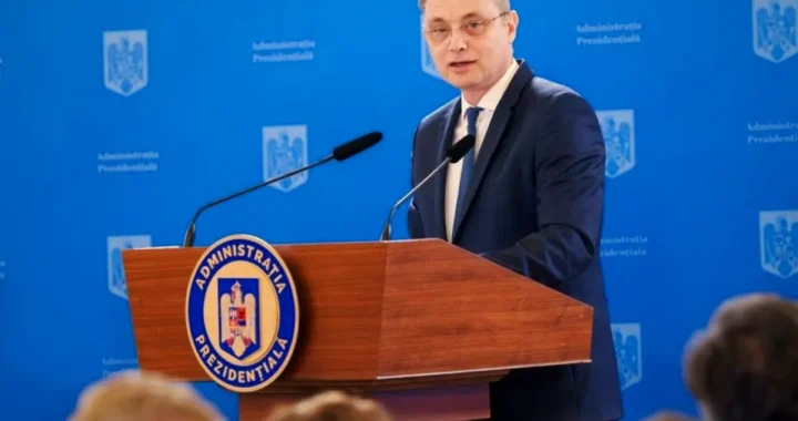 La ce se gândesc real politicienii când aleg un guvern?