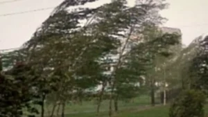 Meteo anunță prăbușirea temperaturilor până la 3 grade și ninsoare!
