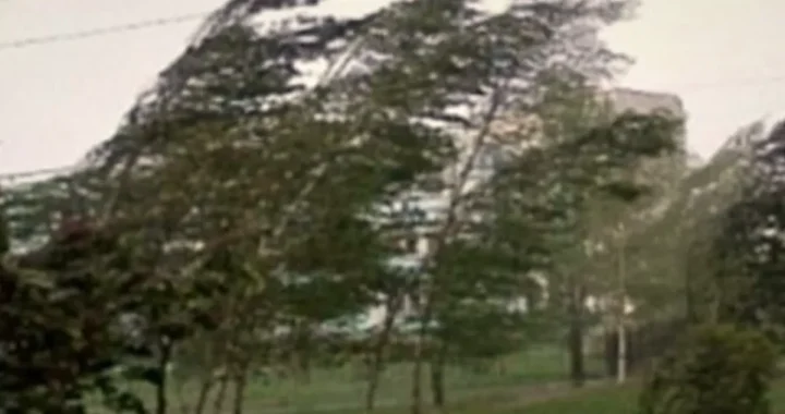 Meteo anunță prăbușirea temperaturilor până la 3 grade și ninsoare!